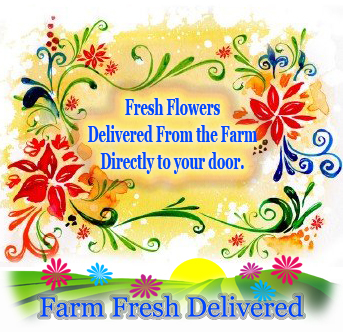 farmfreshd's profile picture. 