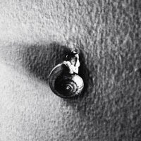 Gray70 (@gray7080) 's Twitter Profile