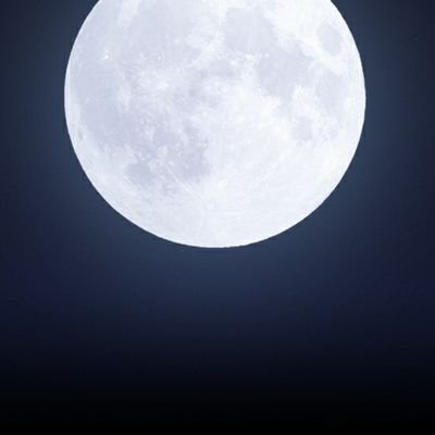 일야고二さんのプロフィール画像