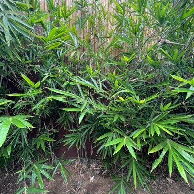 nobody052396's profile picture. this is my safe place