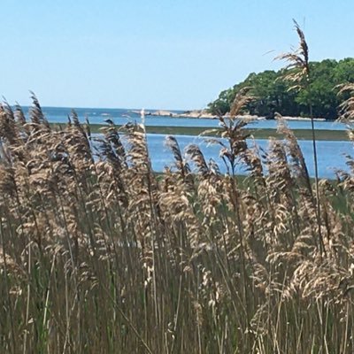 anita_schepker's profile picture. Wife, Mom, Lawyer and beach lover.