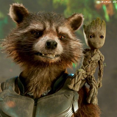 gomahachi__'s profile picture. 