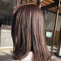 hisho (@hisho_xyz) 's Twitter Profile