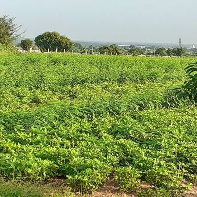 Rajesh7_fjhs's profile picture. Real