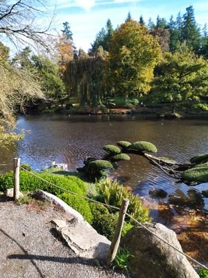 AdamMarquis18's profile picture. 