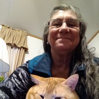 missy_a_luisianne (@aluisianne) 's Twitter Profile