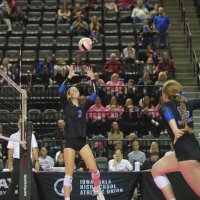 Madelyn Norton (@nortonmadelyn) 's Twitter Profile