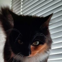 Kostek (@kostek30555762) 's Twitter Profile