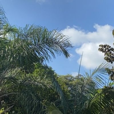 CKiburi's profile picture. Mental health advocate/ Psychologist/

*Normalizing conversations around mental health