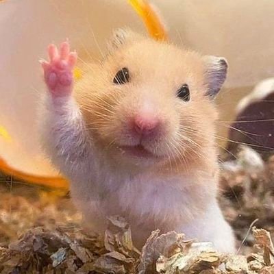 👋