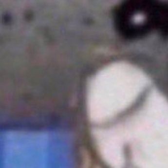 HTXhardD's profile picture. NSFW, mdni, 6’-1” fyi I eat pussy 29yr