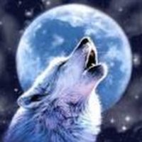 Wolfmanmos (@snuffawupalous) 's Twitter Profile Photo