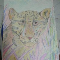 Gayatri venkataraman (@gayatrivenkata2) 's Twitter Profile Photo Gayatri venkataraman (@gayatrivenkata2) 's Twitter Profile Photo