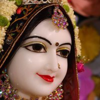 Janvi (@janvi66570087) 's Twitter Profile Photo Janvi (@janvi66570087) 's Twitter Profile Photo