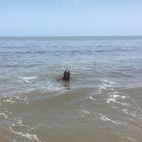 Dixon Magoronga (@wamagoronga34) 's Twitter Profile Photo