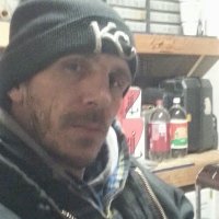 Dogs channel Roberts (@dogs_roberts) 's Twitter Profile