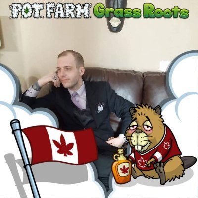 shaneconstant16's profile picture. 