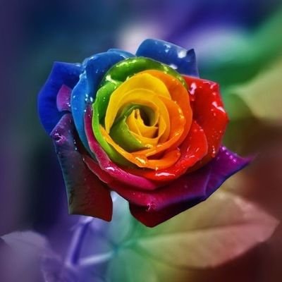 🌈🏳️🌈 nurse ,ladylover ,booklover ,
the Lword +q generation
hippiesoul ,peace ,nature,...