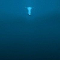 Gijs van der Valk (@vandervalk) 's Twitter Profile
