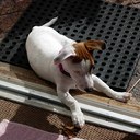 Candice Gray - @banditrox32 - Twitter