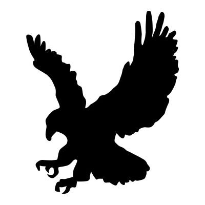 MaleEaglet Profile Picture