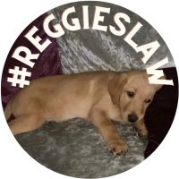 JusticeforReggie(@JusticeforRegg1) 's Twitter Profile Photo