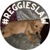 JusticeforReggie (@JusticeforRegg1) Twitter profile photo