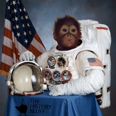 4.5 OW 1 Rank 1 tank OW 2 HubertOW | Immortal 3 Professional scammer/irs collector 123k on tiktok---Banned
https://t.co/m2TAZYJ939