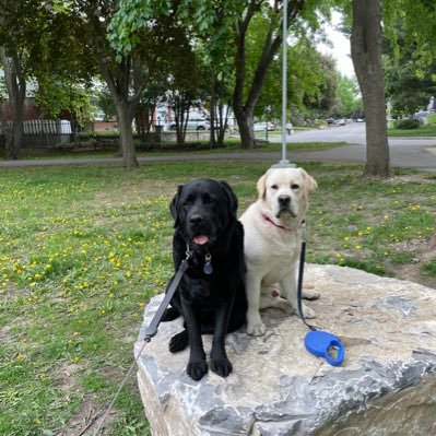 Spencer62184921's profile picture. 