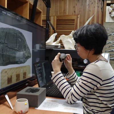PhD candidate studying fossil turtles 🐢 @ NTU Fossil Lab. 508.