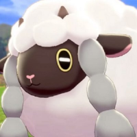 LFL2 Wooloo (@lfl2_wooloo) 's Twitter Profile Photo LFL2 Wooloo (@lfl2_wooloo) 's Twitter Profile Photo