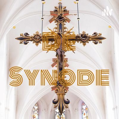 Podcast De Synode van Renier Boerma en Jos van Ginneken | DeSynode@gmail.com