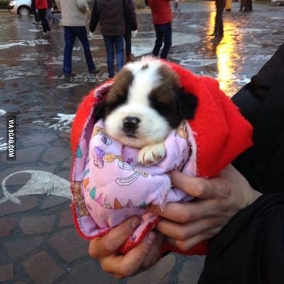 inav425's profile picture. 