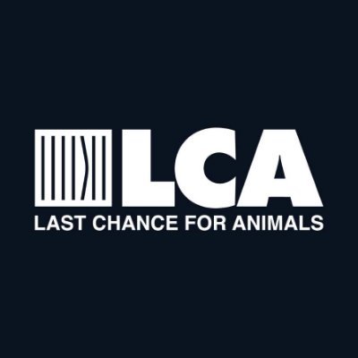 LCA is an international nonprofit org. dedicated to exposing & eliminating animal abuse through undercover investigations, campaigns, & legislation.