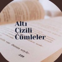 Altı Çizili Cümleler(@altinicizdik) 's Twitter Profile Photo