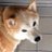 柴犬ちーちゃん🌈(ちーママ)のアイコン