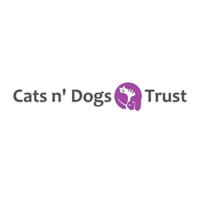 Cats n' Dogs Trust(@AffiliateNetwo9) 's Twitter Profile Photo