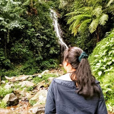 ambrleni's profile picture. 