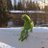 imrozhia's profile image