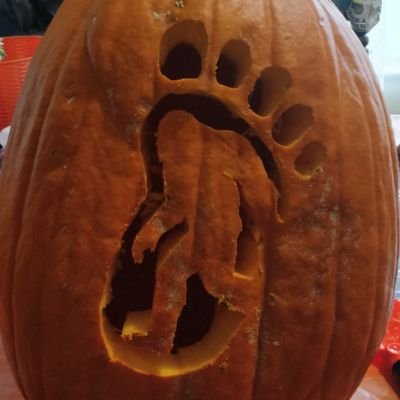 dladd10's profile picture. Infosec engineer trying to keep head above water; father; car enthusiast