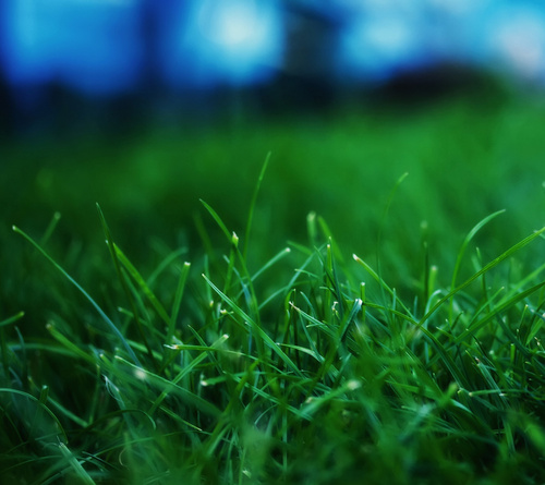 shizu921's profile picture. 息子U117娘がジュニアでサッカー→中学でバレー部→現在高1でテコンドー プレミア好き・リバプール・デブライネ・ケツメイシ・元歯科衛生士・3人子育て中・シングルマザー・kinggnu・フォートナイト・SnowMan