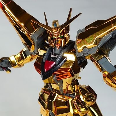 ガンプラ、特撮、写真撮影が好き。
潰瘍性大腸炎と闘病中