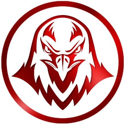 || Falcons Kingdom || Profile