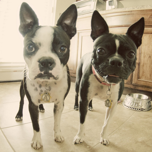 MargotAndAddieG's profile picture. 