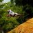 Riffy_81's profile image