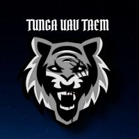 TUNGA UAV TEAM (@tunga_uav_team) Twitter profile photo