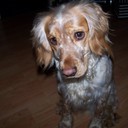 Barbara Barham - @Merlinia - Twitter