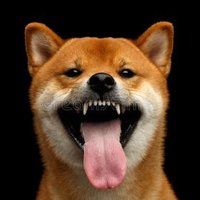 Ken (@k___a___c) 's Twitter Profile