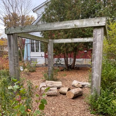 Rooted in culturally relevant pedagogy, exploring the environment through natural curiosities and inquiry with primary students as a co-learner 🦅🦬🐻👣🦫🐺🐢