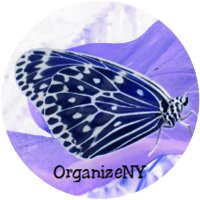 OrganizeNY(@OrganizeNY) 's Twitter Profile Photo